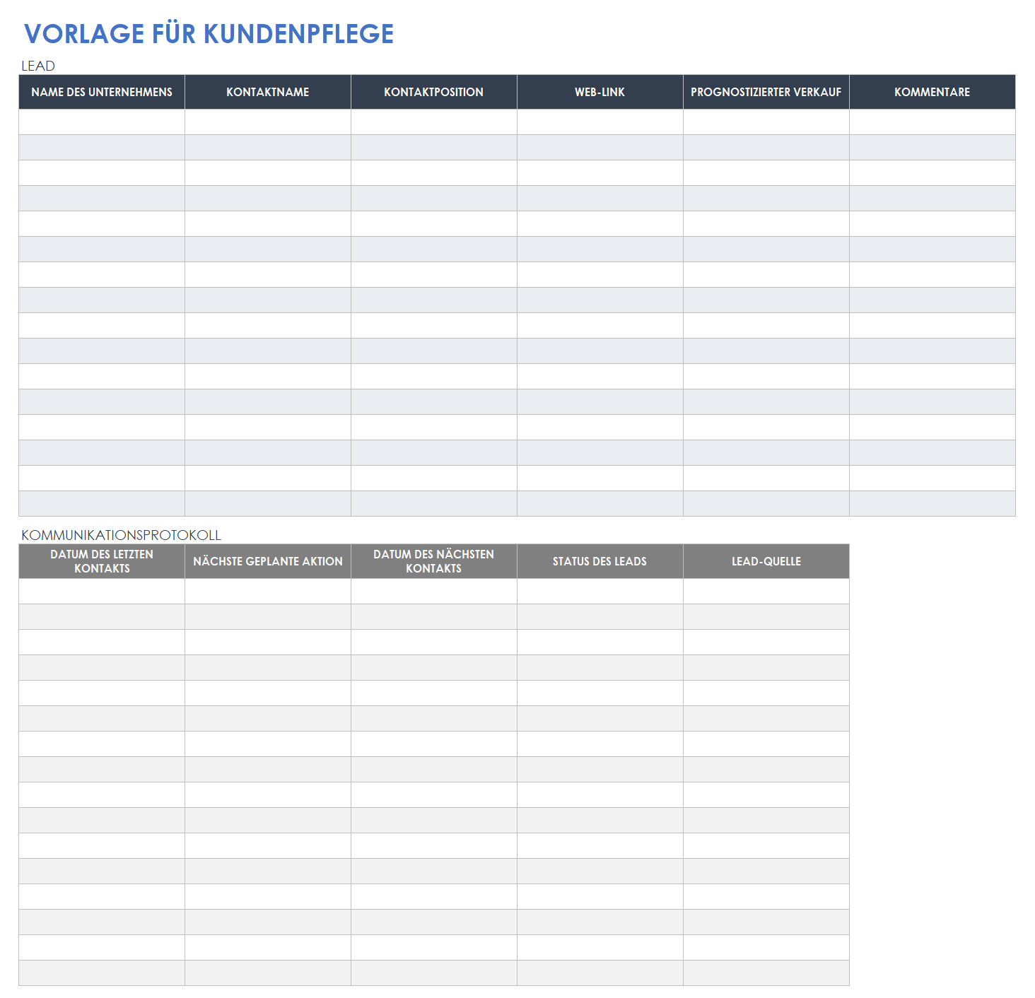  CRM-Vorlage