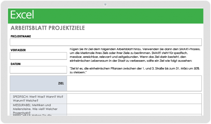 Arbeitsblattvorlage für Projektziele
